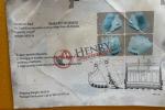 2024 JISAN BKT34578HD 78 Excavator Bucket