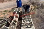 Barber Greene 18" x 100' Radial Stacker (NEW BELT)