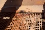 Allis-Chalmers 5'x14' Triple Deck Incline Wet Screen